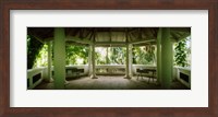 Framed Canopy in the botanical garden, Jardim Botanico, Zona Sul, Rio de Janeiro, Brazil