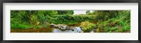 Framed River flowing through a forest, Acadia River, Quebec, Canada