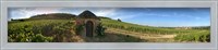 Framed Beaujolais vineyard, Saules, Saone-Et-Loire, Burgundy, France