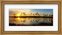 Framed Reflection of trees in water at sunset, Lake Worth, Palm Beach County, Florida, USA
