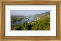 Framed Vineyards with village at riverfront, Mosel River, Kaimt Mosel Village, Mosel Valley, Rhineland-Palatinate, Germany