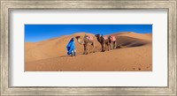 Framed Tuareg man leading camel train in desert, Erg Chebbi Dunes, Sahara Desert, Morocco