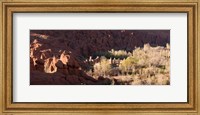 Framed Rock formations in the Dades Valley, Dades Gorges, Ouarzazate, Morocco