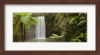 Framed Waterfall in a forest, Millaa Millaa Falls, Atherton Tableland, Queensland, Australia