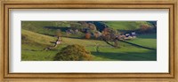 Framed High angle view of a village in valley, Dove Dale, White Peak, Peak District National Park, Derbyshire, England