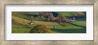 Framed High angle view of a village in valley, Dove Dale, White Peak, Peak District National Park, Derbyshire, England