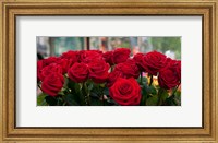 Framed Close-up of red roses in a bouquet during Sant Jordi Festival, Barcelona, Catalonia, Spain