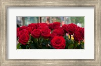 Framed Close-up of red roses in a bouquet during Sant Jordi Festival, Barcelona, Catalonia, Spain