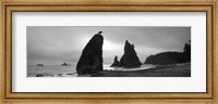 Framed Silhouette of seastacks at sunset, Olympic National Park, Washington State (black and white)