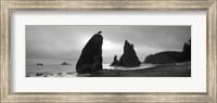 Framed Silhouette of seastacks at sunset, Olympic National Park, Washington State (black and white)