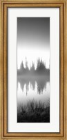 Framed Reflection of trees in a lake in black and white, Mt Rainier National Park, Washington State
