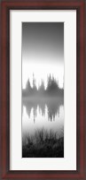 Framed Reflection of trees in a lake in black and white, Mt Rainier National Park, Washington State