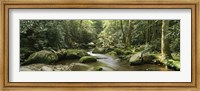 Framed Roaring Fork River, Great Smoky Mountains, Tennessee