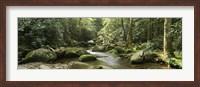 Framed Roaring Fork River, Great Smoky Mountains, Tennessee