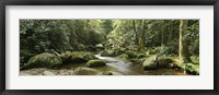 Framed Roaring Fork River, Great Smoky Mountains, Tennessee