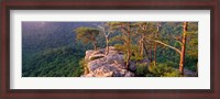 Framed Trees on a mountain, Buzzards' Roost Fall Creek Falls State Park, Pikeville, Bledsoe County, Tennessee, USA