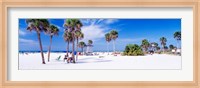 Framed Palm trees on the beach, Siesta Key, Gulf of Mexico, Florida, USA