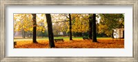 Framed Park Bavaria Germany