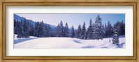 Framed Snowy Field & Trees Oberjoch Germany