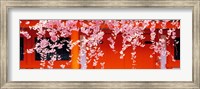Framed Heian-Jingu Kyoto Japan