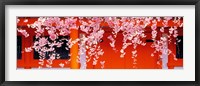 Framed Heian-Jingu Kyoto Japan