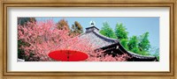 Framed Daikaku-Ji Kyoto Japan