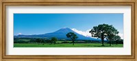 Framed Mt Fuji Shizuoka Japan