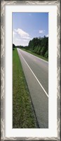 Framed Trees along the road, Alabama State Route 113, Alabama, USA