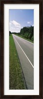 Framed Trees along the road, Alabama State Route 113, Alabama, USA