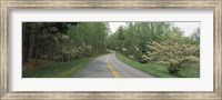 Framed Road passing through a landscape, Blue Ridge Parkway, Virginia, USA
