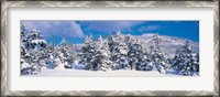 Framed Winter in Chino Nagano Japan