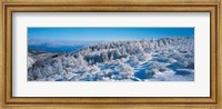 Framed Winter in Utsukushigahara Nagano Japan