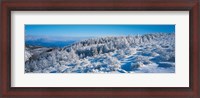 Framed Winter in Utsukushigahara Nagano Japan