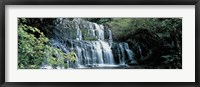 Framed Waterfall, South Island New Zealand