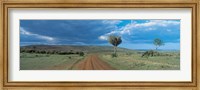 Framed Masai Mara Game Reserve Kenya