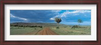 Framed Masai Mara Game Reserve Kenya