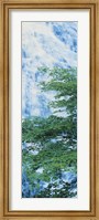 Framed Oku-Nikko Tochigi Japan