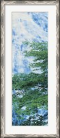 Framed Oku-Nikko Tochigi Japan