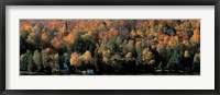 Framed Autumn trees Laurentide Quebec Canada