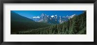 Framed Forest with Mountains in the Background, Banff National Park Canada