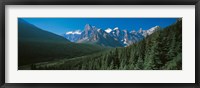 Framed Forest with Mountains in the Background, Banff National Park Canada