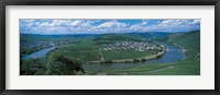 Framed Vineyard Moselle River Germany