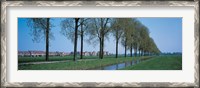 Framed Aalsmeer Holland Netherlands