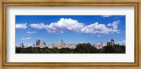 Framed Trees with row of buildings, Central Park, Manhattan, New York City, New York State, USA