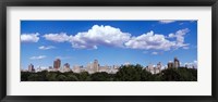 Framed Trees with row of buildings, Central Park, Manhattan, New York City, New York State, USA