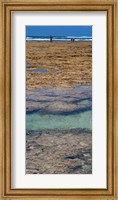 Framed Indian Ocean, Fringe Reef, Mombasa Marine National Park and Reserve, Kenya