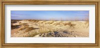 Framed Sand dunes on the beach, Anastasia State Recreation Area, St. Augustine, St. Johns County, Florida, USA