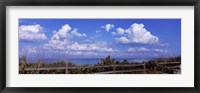 Framed Fence on the beach, Tampa Bay, Gulf Of Mexico, Anna Maria Island, Manatee County, Florida, USA