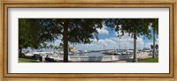 Framed Twin Dolphin Marina, Manatee River, Bradenton, Manatee County, Florida