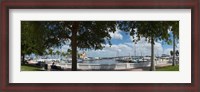 Framed Twin Dolphin Marina, Manatee River, Bradenton, Manatee County, Florida